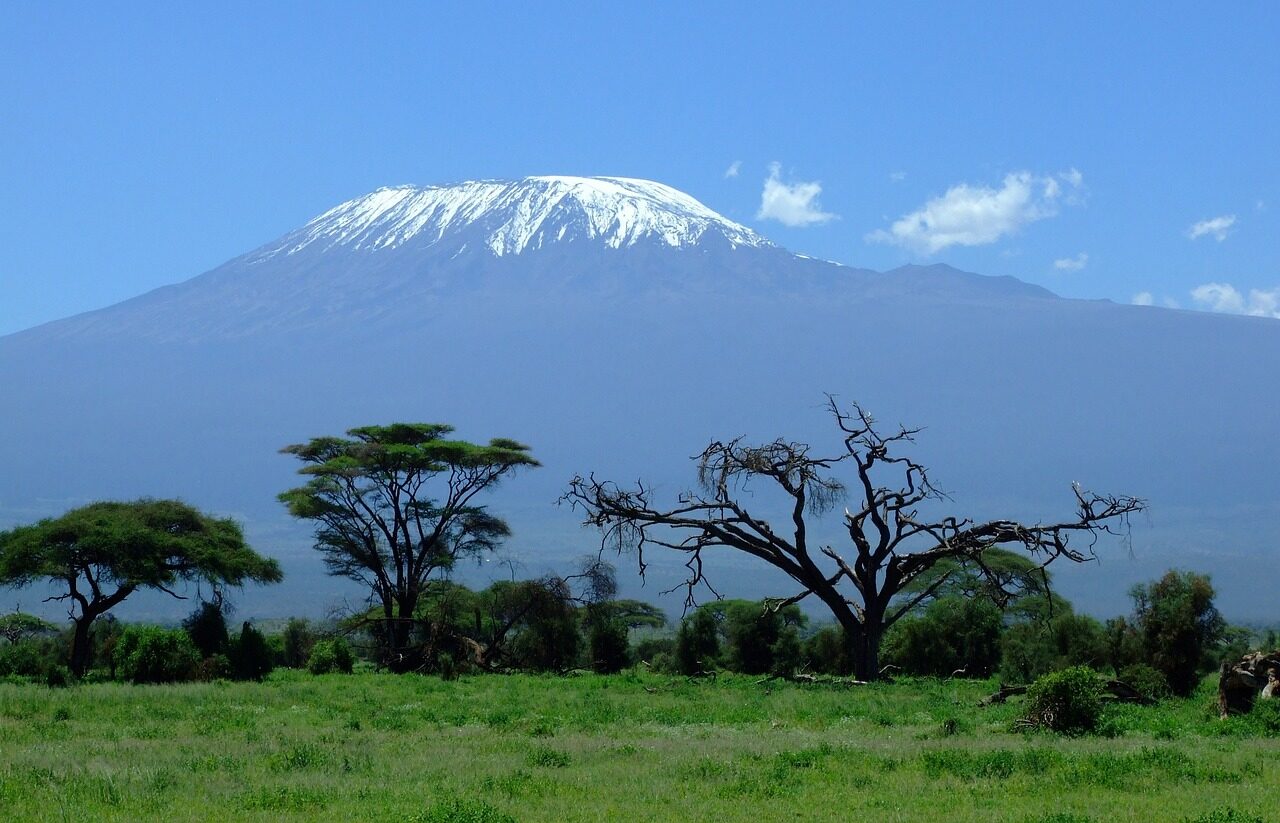 Snow-capped Mount Kilimanjaro rising above green plains with acacia trees